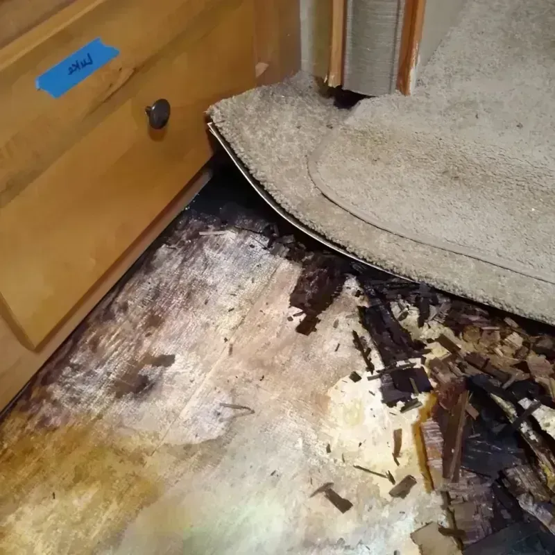 Best Wood Floor Water Damage Service in Russell, KY